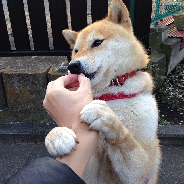 俱乐部改革:青训、青军训练体系的深度变革,俱乐部青训几岁要到俱乐部