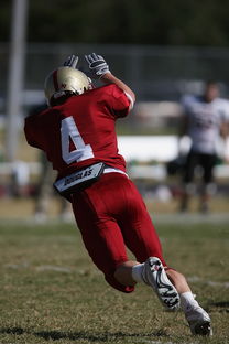 米兰体育赛事-中超球队传球链路密集度评分系统