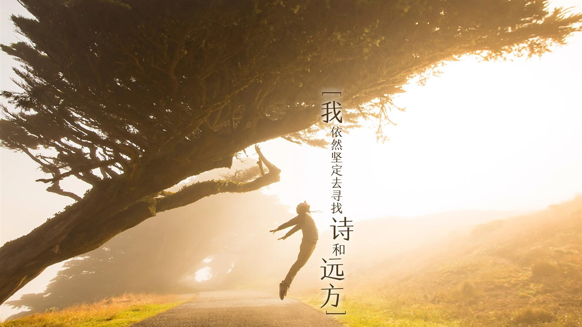 米兰体育赛事-体育场馆数字化管理体系，体育场馆智能化系统