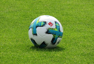 米兰体育app下载安装-德甲防守战术转变对定位球防守效果的影响分析，德国足球防守大师